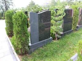 天壽看墓隨拍